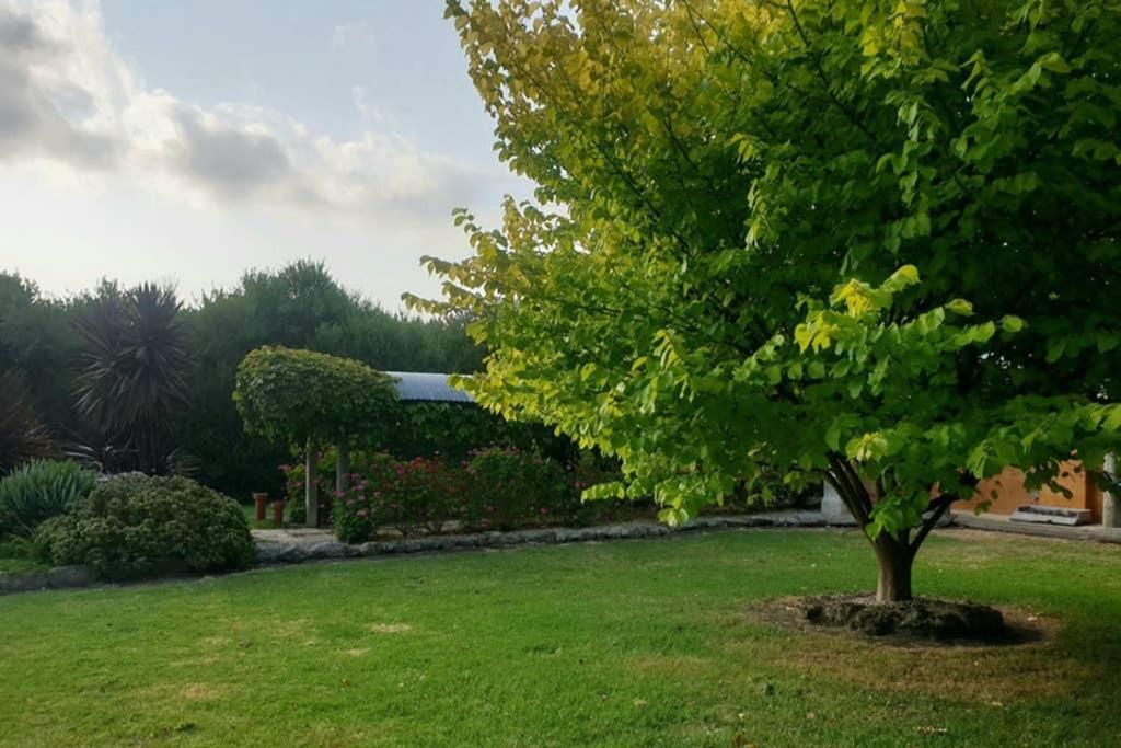 Bella Mia Tuscan Paradise Mount Gambier Extérieur photo