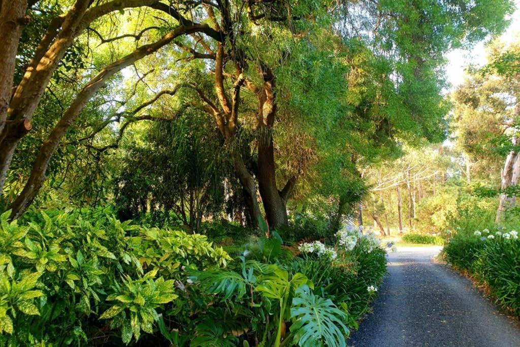 Bella Mia Tuscan Paradise Mount Gambier Extérieur photo